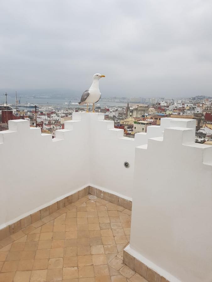 Maison Medina, Terrasse Panoramique, Vue Mer Tangier Exterior photo